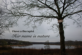 billede af natur